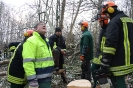 Sägeübung Plön 28.01.2012_14