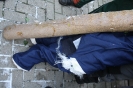 Sägeübung Plön 28.01.2012_1