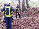 Sägeübung Flüggendorf 21.01.2017 Quelle: Feuerwehr Lebrade_11