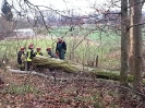 Sägeübung Flüggendorf 21.01.2017 Quelle: Feuerwehr Lebrade_14