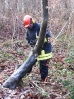 Sägeübung Flüggendorf 21.01.2017 Quelle: Feuerwehr Lebrade_2