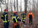 Sägeübung Flüggendorf 21.01.2017 Quelle: Feuerwehr Lebrade_5